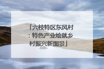六枝特区东风村：特色产业绘就乡村振兴新图景