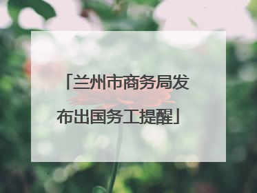 兰州市商务局发布出国务工提醒