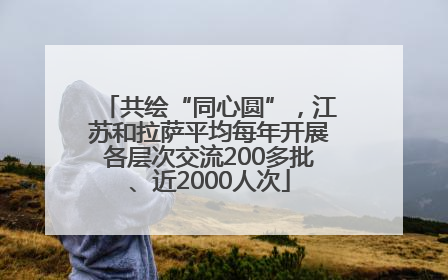 共绘“同心圆”，江苏和拉萨平均每年开展各层次交流200多批、近2000人次