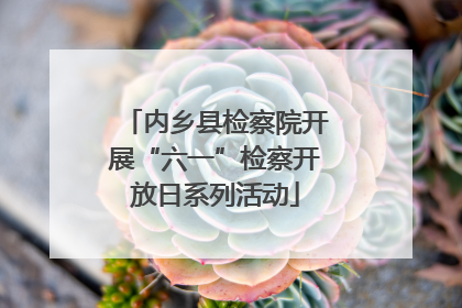 内乡县检察院开展“六一”检察开放日系列活动