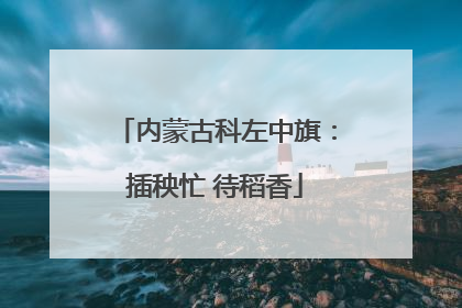 内蒙古科左中旗：插秧忙 待稻香