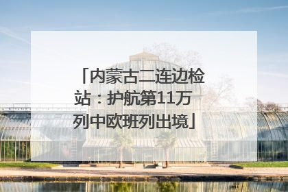 内蒙古二连边检站：护航第11万列中欧班列出境
