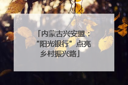 内蒙古兴安盟：“阳光银行”点亮乡村振兴路