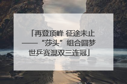再登顶峰 征途未止——“莎头”组合圆梦世乒赛混双三连冠