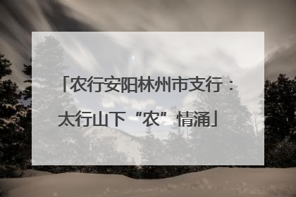 农行安阳林州市支行：太行山下“农”情涌