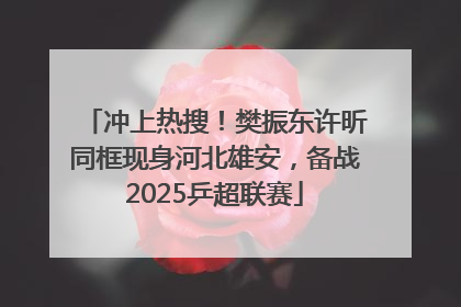 冲上热搜！樊振东许昕同框现身河北雄安，备战2025乒超联赛