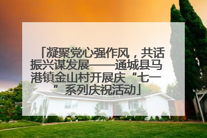 凝聚党心强作风，共话振兴谋发展——通城县马港镇金山村开展庆“七一”系列庆祝活动