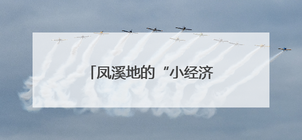 凤溪地的“小经济”与“大情怀”