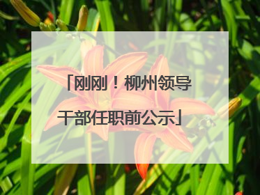 刚刚！柳州领导干部任职前公示