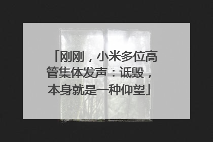 刚刚，小米多位高管集体发声：诋毁，本身就是一种仰望