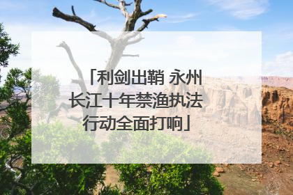 利剑出鞘 永州长江十年禁渔执法行动全面打响