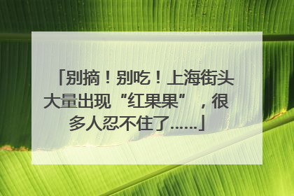 别摘！别吃！上海街头大量出现“红果果”，很多人忍不住了……