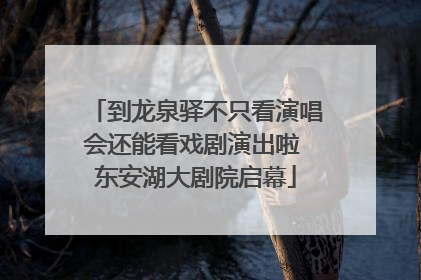 到龙泉驿不只看演唱会还能看戏剧演出啦 东安湖大剧院启幕
