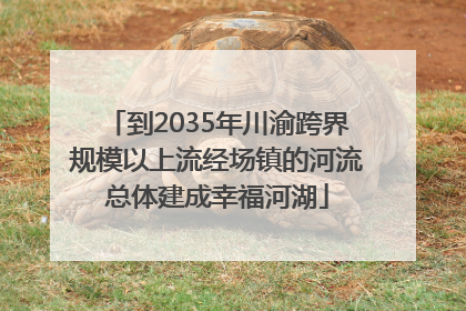 到2035年川渝跨界规模以上流经场镇的河流总体建成幸福河湖