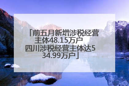 前五月新增涉税经营主体48.15万户 四川涉税经营主体达534.99万户