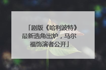 剧版《哈利波特》最新选角出炉，马尔福饰演者公开