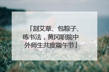 割艾草、包粽子、练书法，黄冈职院中外师生共度端午节