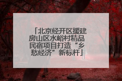 北京经开区援建房山区水峪村精品民宿项目打造“乡愁经济”新标杆