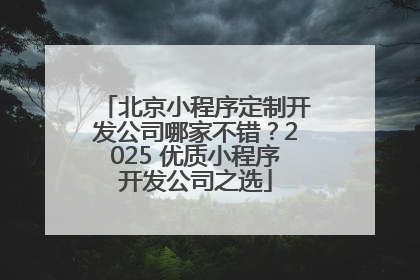北京小程序定制开发公司哪家不错？2025 优质小程序开发公司之选
