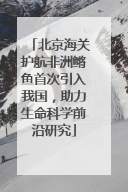 北京海关护航非洲鳉鱼首次引入我国，助力生命科学前沿研究