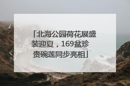 北海公园荷花展盛装迎夏，169盆珍贵碗莲同步亮相