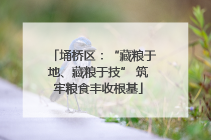 埇桥区：“藏粮于地、藏粮于技” 筑牢粮食丰收根基