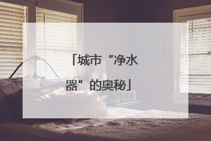 城市“净水器”的奥秘