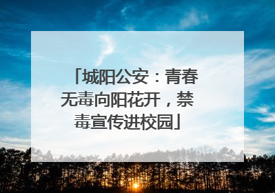 城阳公安：青春无毒向阳花开，禁毒宣传进校园