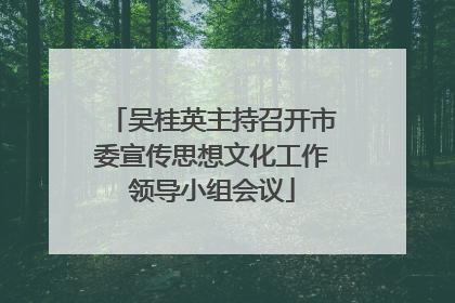 吴桂英主持召开市委宣传思想文化工作领导小组会议