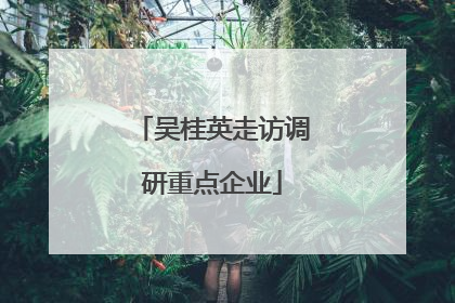 吴桂英走访调研重点企业