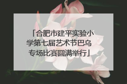 合肥市建平实验小学第七届艺术节巴乌专场比赛圆满举行
