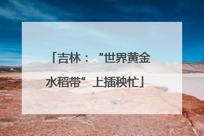 吉林：“世界黄金水稻带”上插秧忙
