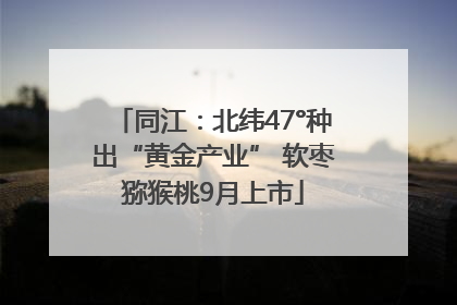 同江：北纬47°种出“黄金产业” 软枣猕猴桃9月上市