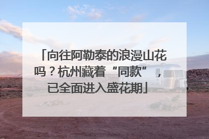 向往阿勒泰的浪漫山花吗？杭州藏着“同款”，已全面进入盛花期
