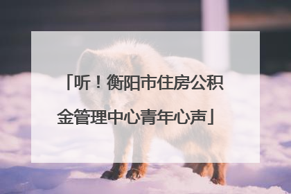 听！衡阳市住房公积金管理中心青年心声
