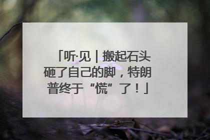 听·见｜搬起石头砸了自己的脚，特朗普终于“慌”了！
