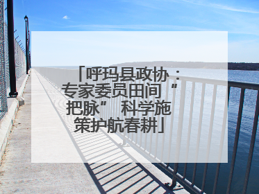 呼玛县政协：专家委员田间“把脉” 科学施策护航春耕