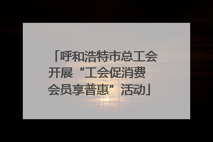 呼和浩特市总工会开展“工会促消费 会员享普惠”活动