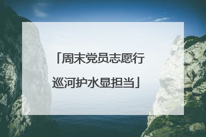 周末党员志愿行 巡河护水显担当