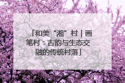 和美“湘”村｜画笔村：古韵与生态交融的传统村落