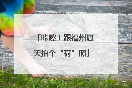 咔嚓！跟福州夏天拍个“荷”照
