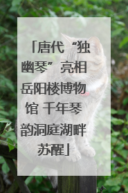 唐代“独幽琴”亮相岳阳楼博物馆 千年琴韵洞庭湖畔苏醒