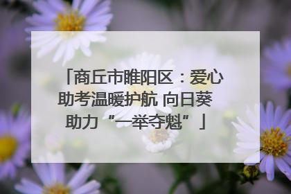 商丘市睢阳区：爱心助考温暖护航 向日葵助力“一举夺魁”