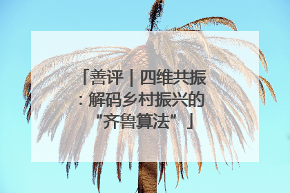 善评｜四维共振：解码乡村振兴的“齐鲁算法”