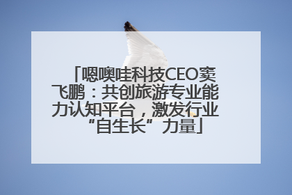 嗯噢哇科技CEO窦飞鹏：共创旅游专业能力认知平台，激发行业“自生长”力量