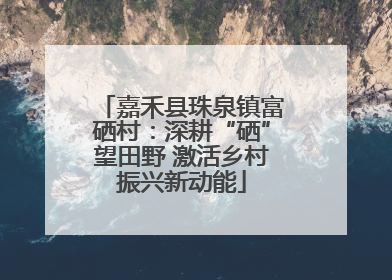 嘉禾县珠泉镇富硒村：深耕“硒”望田野 激活乡村振兴新动能