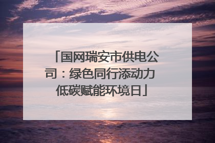 国网瑞安市供电公司：绿色同行添动力 低碳赋能环境日