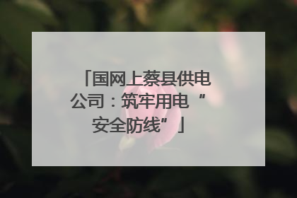 国网上蔡县供电公司：筑牢用电“安全防线”