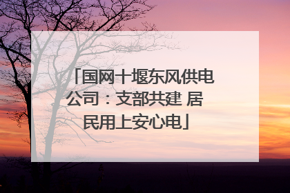 国网十堰东风供电公司：支部共建 居民用上安心电