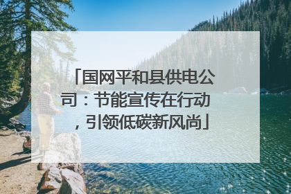 国网平和县供电公司：节能宣传在行动，引领低碳新风尚